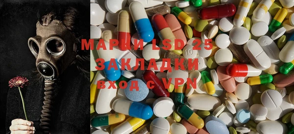 ГАЛЛЮЦИНОГЕННЫЕ ГРИБЫ Беломорск