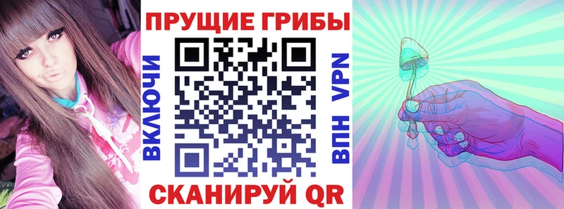 МЕГА как зайти  Кропоткин  Галлюциногенные грибы Cubensis 